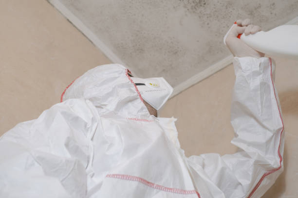 Best Mold Removal for HVAC Installations  in USA